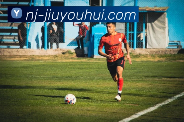 九游会J9官网发展历程